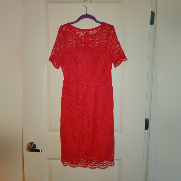Elle Lady in Lace Red Dress size 2 - Picture 4 of 7